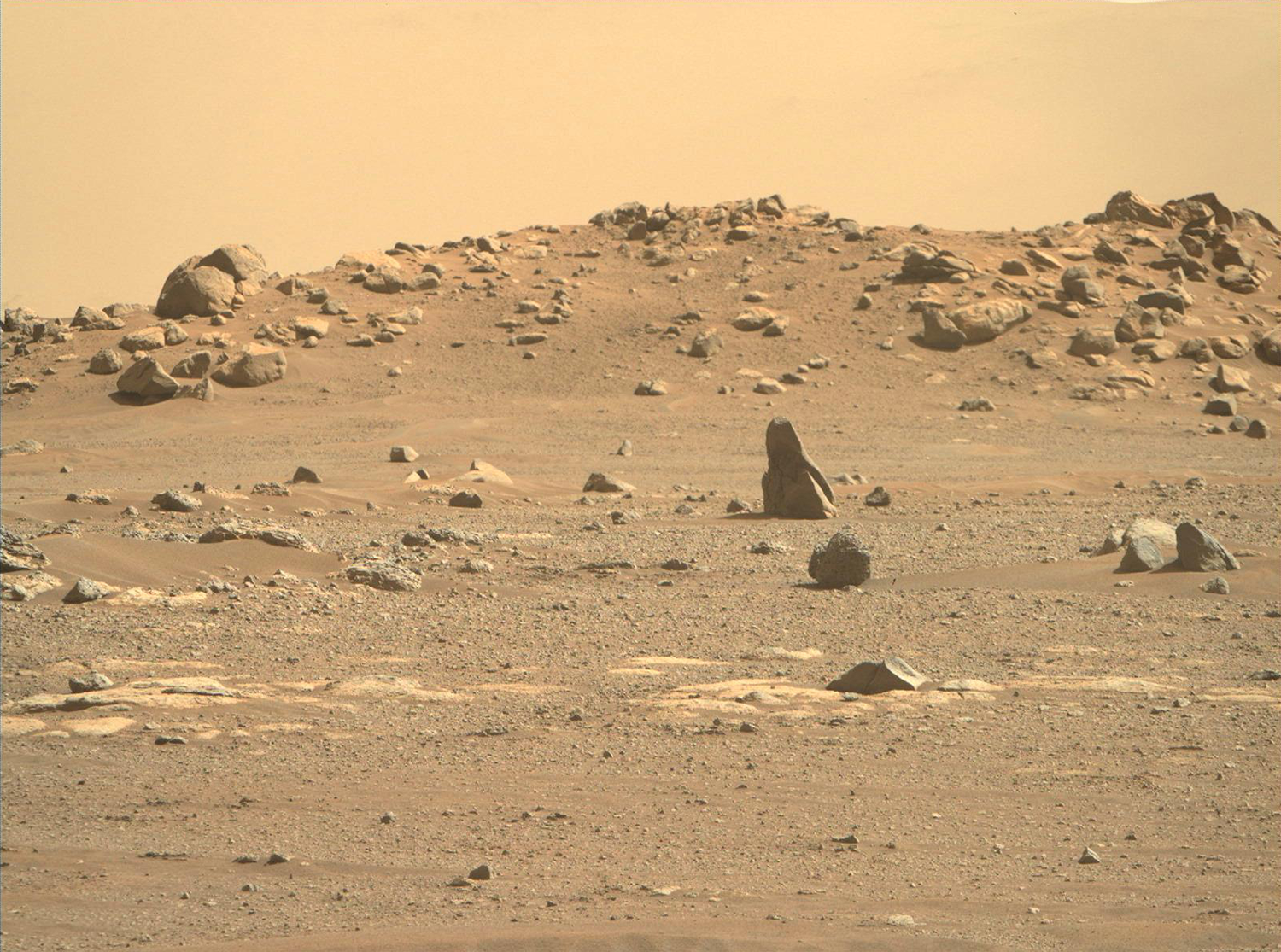 火星地表图像,"毅力号"拍摄于2021年2月24日(sol 4)当地平均太阳