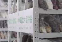 市市场监督管理局卢杰、尤开表：宁波中药饮片抽验合格率99.4%