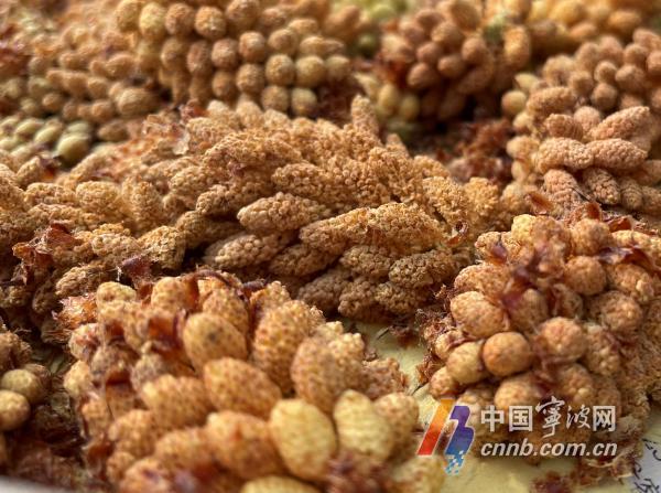微信图片_20210330122836.jpg