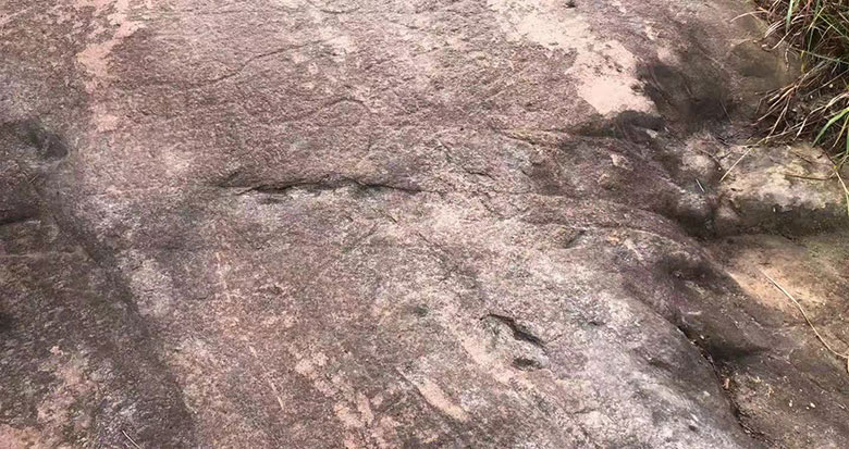 地处前童东山 宁海首次发现岩画石刻
