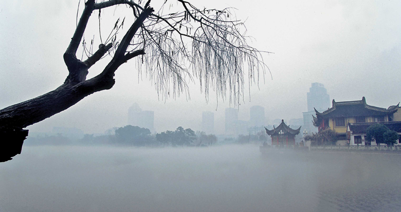 我的月湖记忆 | 叶炜：水墨月湖 一种诗意