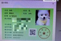 "狗比娃金贵"一句话引热议 警方:扣狗并罚款