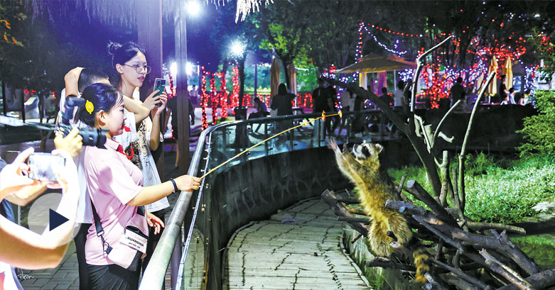 7月20日起宁波野生动物园将对公众开放夜场