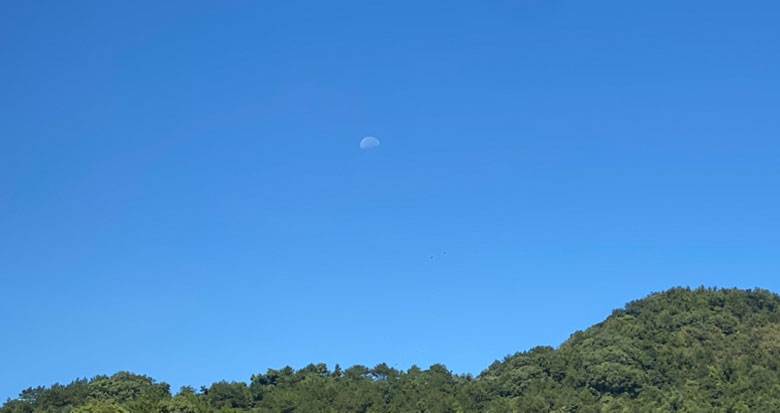 日月同辉！昨日快到中午了宁波上空还能看到月亮