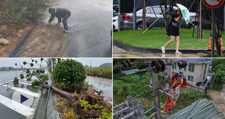 树木倒伏、道路积水、停电…台风“轩岚诺”影响宁波多地
