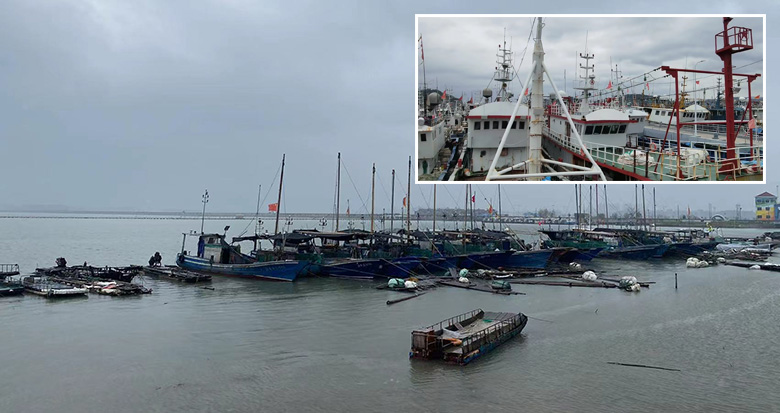 应撤尽撤 宁波471艘海上作业渔船全速回港避风