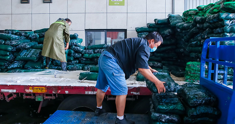 市民放心！宁波已动态储备超4000吨蔬菜、3000余吨肉类