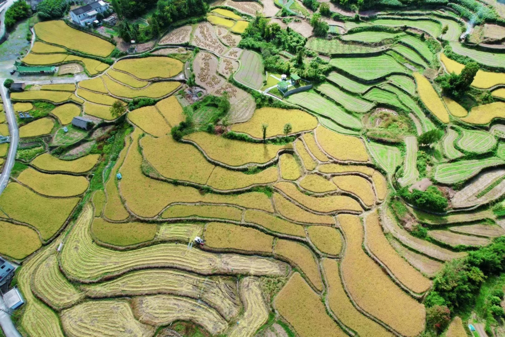 �²������������