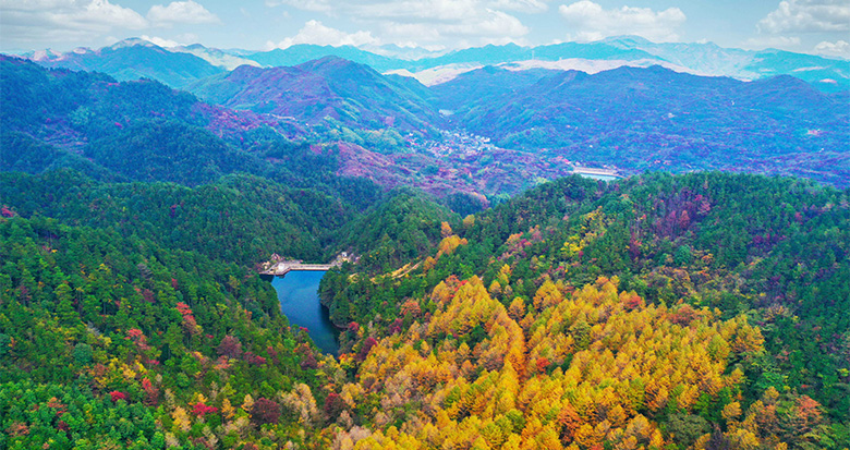 四明山秋色