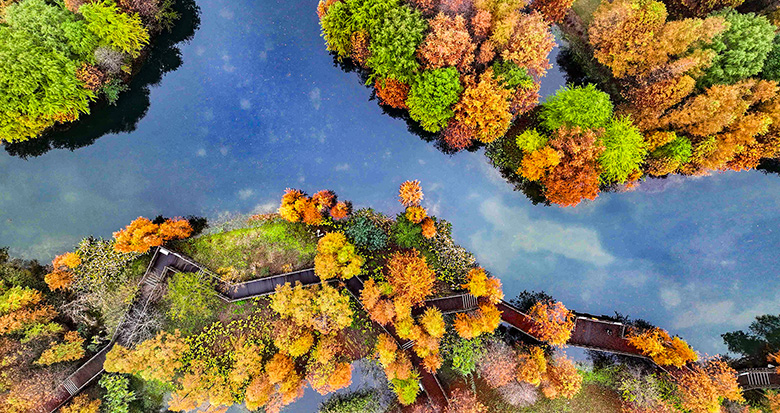 航拍初冬的宁波植物园 五彩斑斓美如画