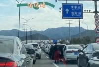 普陀山景区停止预约 有人天没亮就出发……