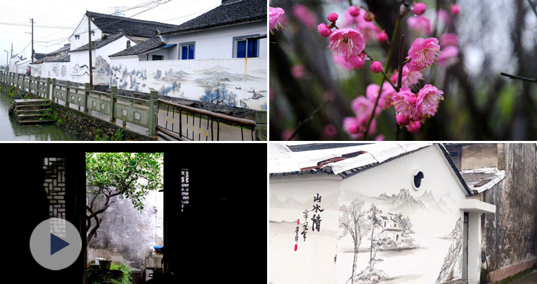 宁波这座古村 不仅藏着人文故事也藏着春天