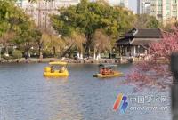 我市全面开展水产苗种专项整治活动