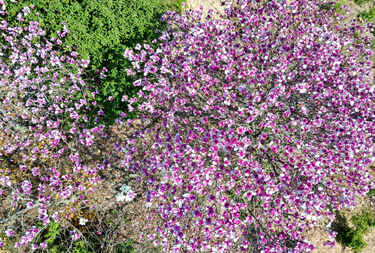 �Ϻ�����������