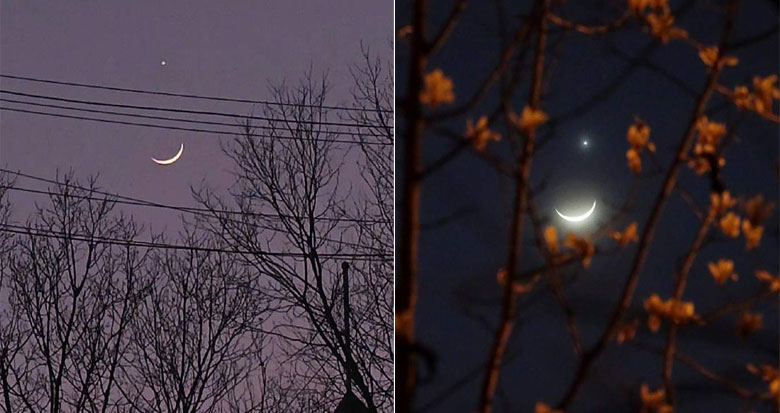 太美了吧！月掩金星你看到了吗？
