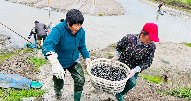 �����ز����ӭ���ջ�