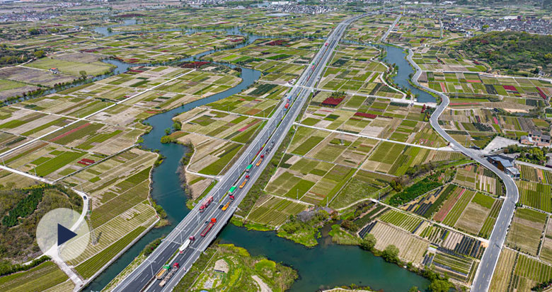 زŽֵĶ߲ʵɫ 촺֮