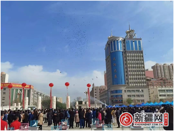 QQ图片20230425223539
