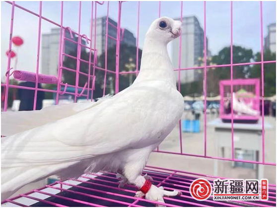 QQ图片20230425223547