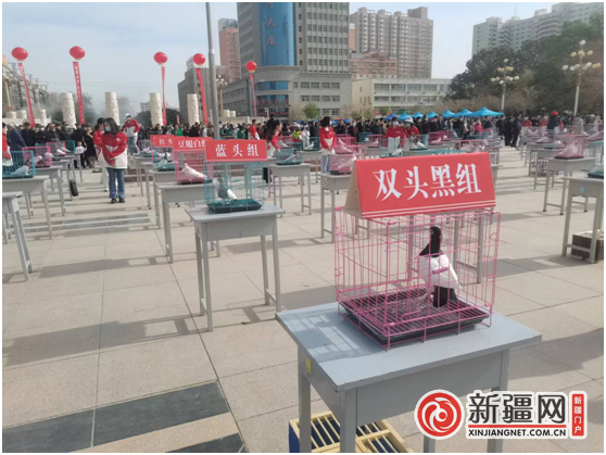QQ图片20230425223558