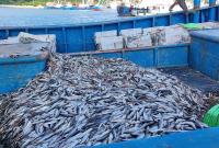 “雷霆3号”收网！22艘渔船非法捕捞渔获400余吨被查处
