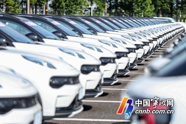 冷季不淡！8月宁波新能源汽车市场有些热