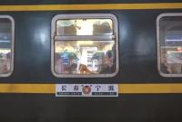 41小时42分！宁波新生坐绿皮火车上大学 你经历过吗？