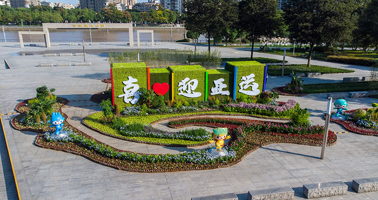花卉装点甬城 为杭州亚运会锦上添花