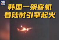 韩国一波音客机着陆时引擎起火 报道称有鸟被吸入