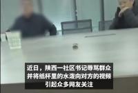 陕西一社区书记辱骂群众被停职