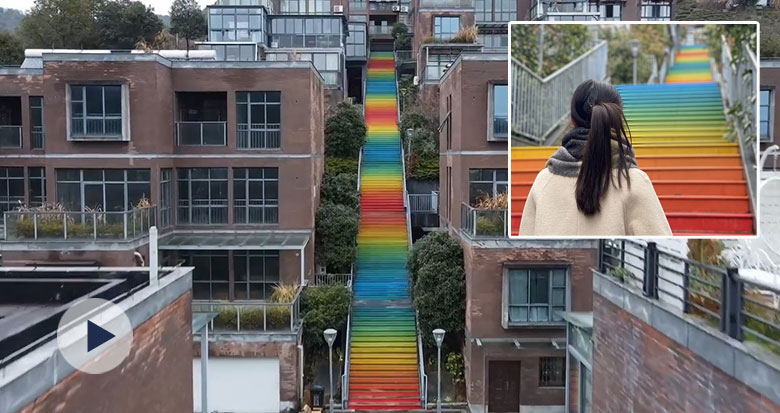 宁波这个小区有条彩虹阶梯