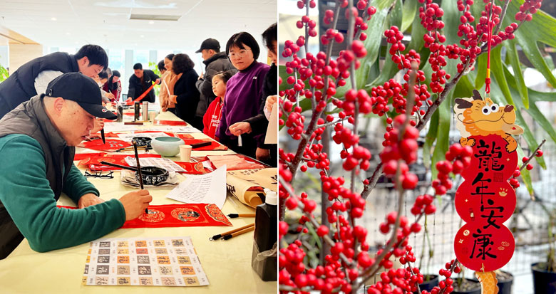 新春纪事 | 一盆年花一副对联！平凡生活 年味萦绕