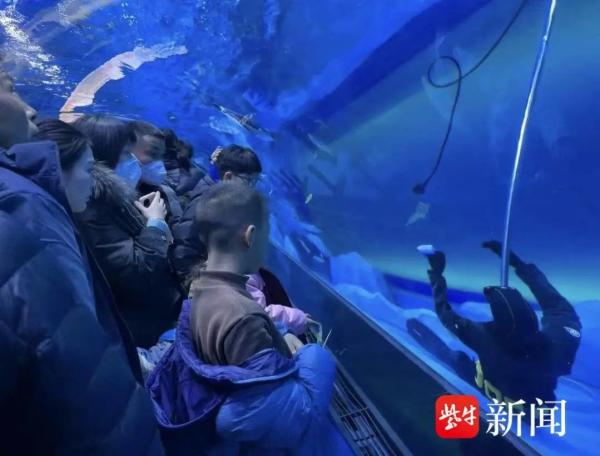 郑州一海洋馆潜水员在馆内溺亡 多名游客目击