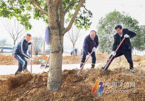 市领导与“三支队伍”代表开展义务植树活动