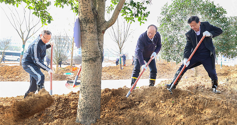 市领导与“三支队伍”代表开展义务植树活动