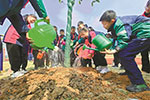 晴好天气回归 白天最高气温向20℃发起冲刺