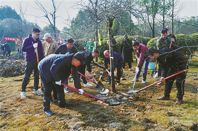 春风拂新绿！宁波市民群众和单位群体纷纷开展义务植树活动