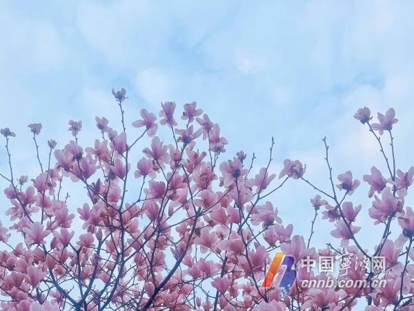 冷空气又来！今夜宁波天气大变脸 雷雨、大风、降温齐来