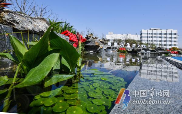 宁波再生水生态文化公园开园