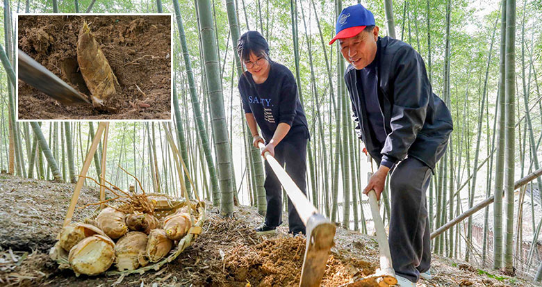 乌克兰多地遭俄军空袭 基辅传出巨大爆炸声