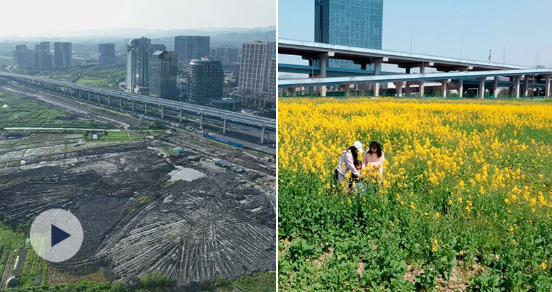 “荒地”变花海！宁波这里又多了一个打卡地