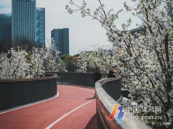 32.8℃！今天宁波气温创下今年新高 下周天气将迎来大转折