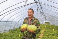5.3公斤!浙江甜瓜王在宁海诞生