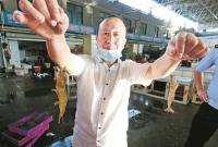 Ӧ㡢۸ߵ гϺ۲롰ڡ