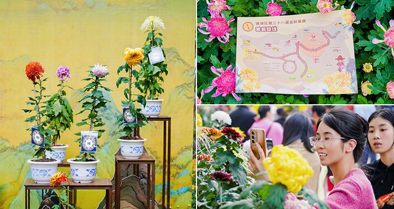 宁波这个经典花展来了