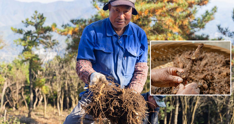 700Ķɽƾӭ ũ¸ƽҵ