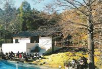 四明山迎来赏秋热 “网红”如何变“长红”?