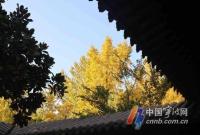 新一轮冷空气将携雨水来袭 宁波干燥天气有望缓解