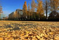 冬至阳生 春又来!新的一周宁波最高气温将升至20℃以上