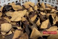 �����ֱ�ͨ�����ٳɹ��ճ�Ƥ������